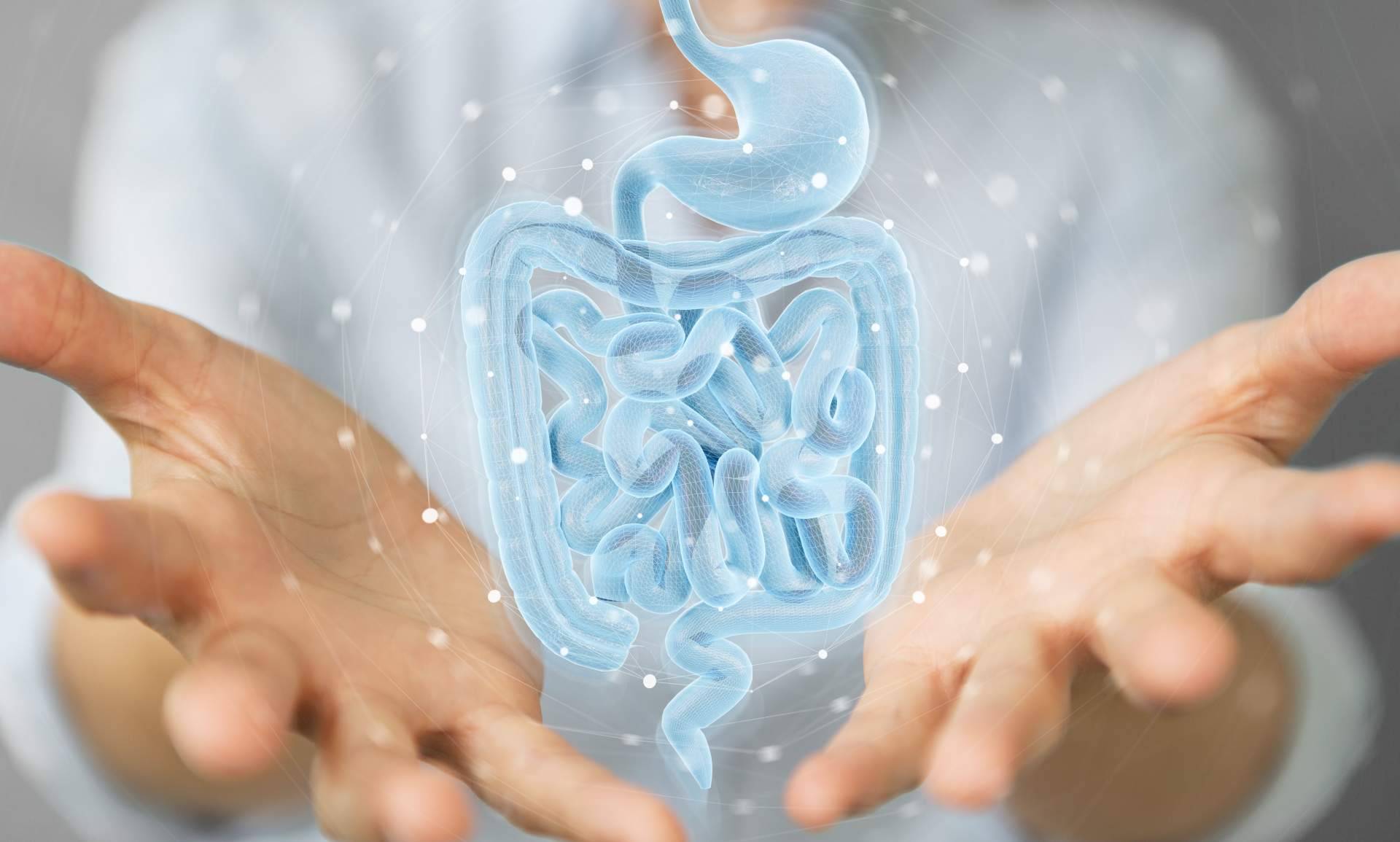 tratamiento del SIBO y tratamiento del LIBO
