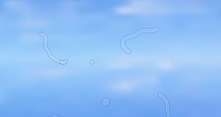 moscas flotantes