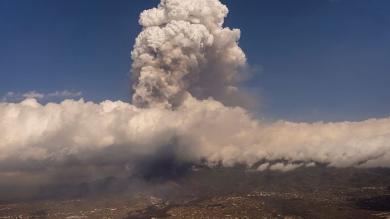 ata solicita ayudas autonomos la palma