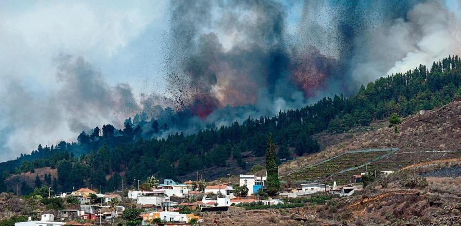 perdidas la palma
