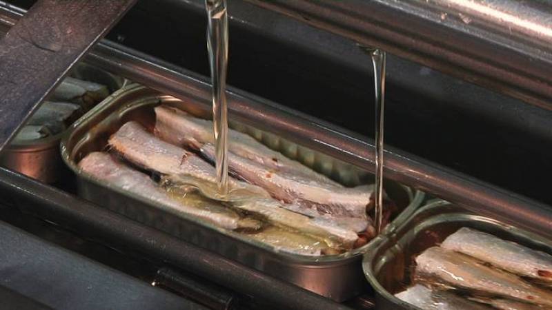 propiedades sardinas en lata