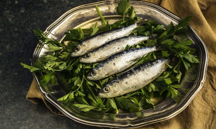 sardinas