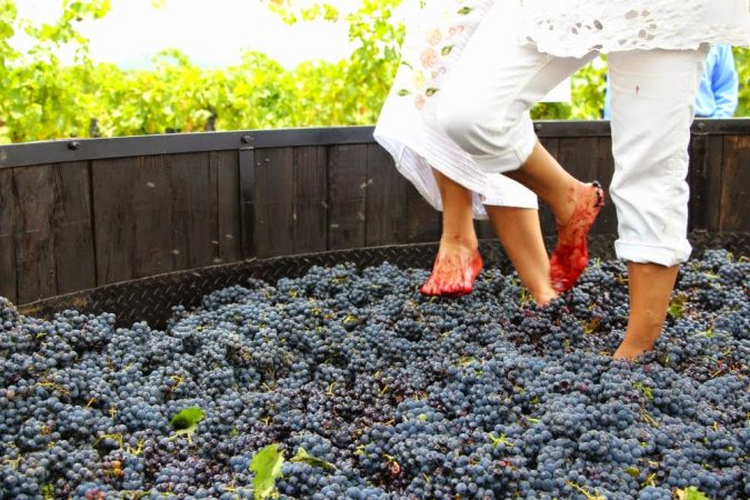 uva tinto pisada Merca2.es