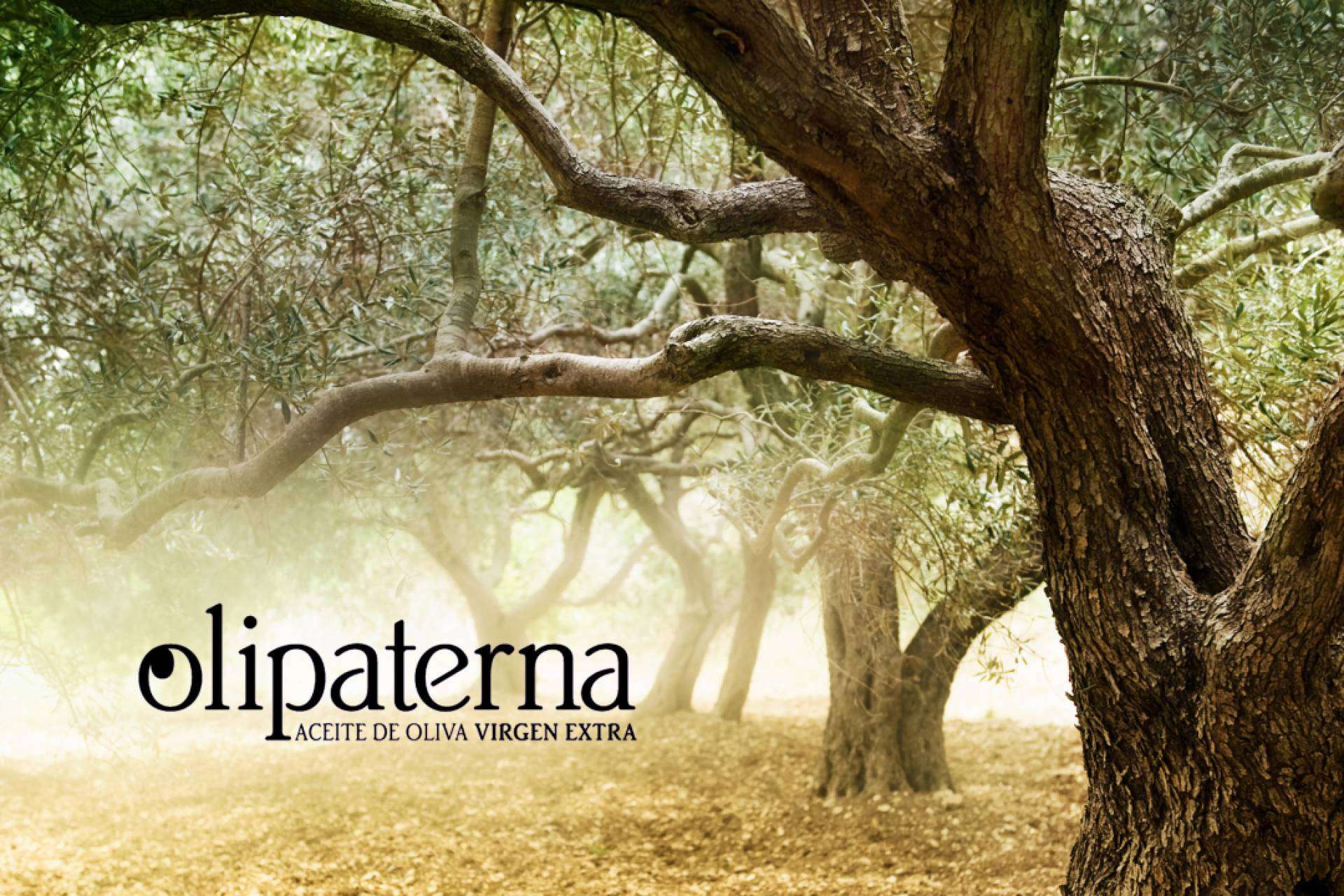 Los beneficios del aceite de oliva virgen extra, por Olipaterna