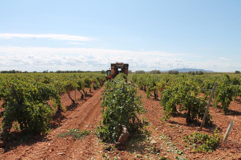 Agroseguro abona 60,7 millones en indemnizaciones a agricultores y ganaderos asegurados