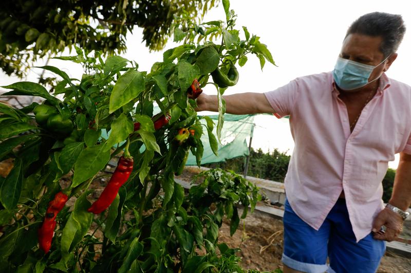 Unos 664.000 agricultores y ganaderos recibirán 3.350 millones del anticipo de las ayudas directas de la PAC