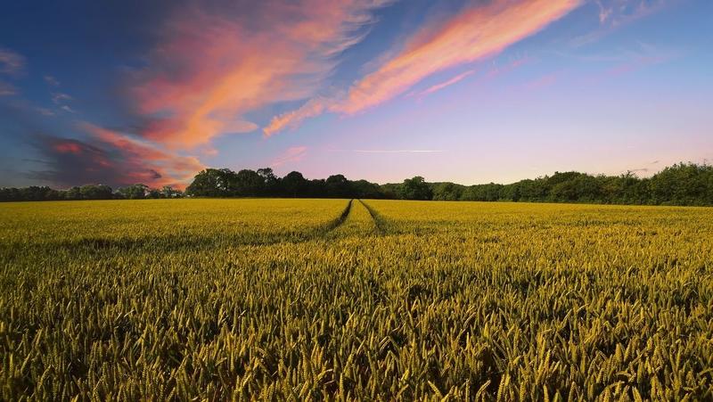 Unión de Uniones cree que cualquier PAC que no se enfoque al agricultor profesional «será un fracaso»
