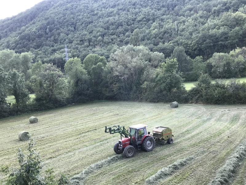 Gobierno y CC.AA. acuerdan repartir más de 145 millones para medidas de desarrollo rural y digitalización