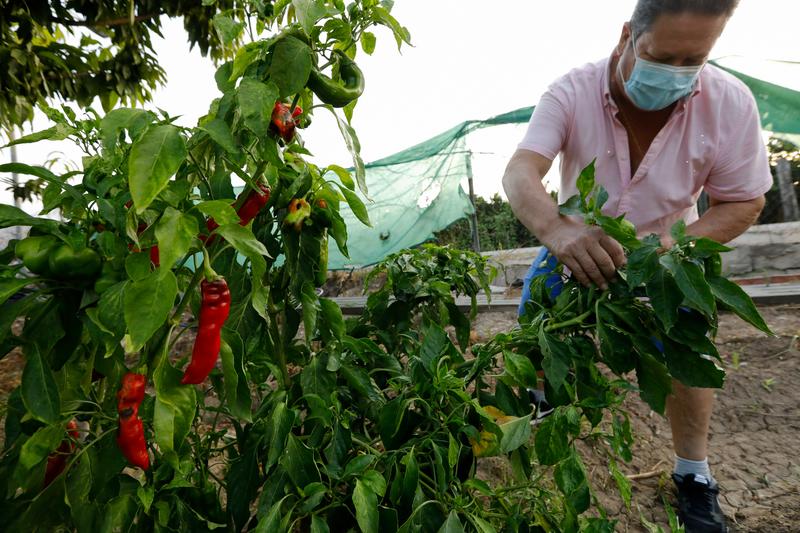Agricultura convoca ayudas por 2 millones para obtener avales de SAECA