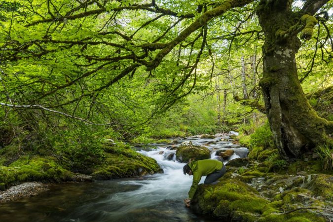 Asturias, Bosque de Muniellos otoño