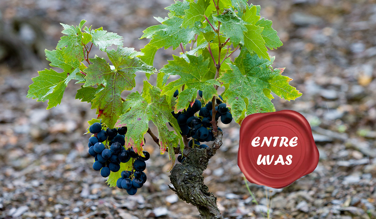 Priorat