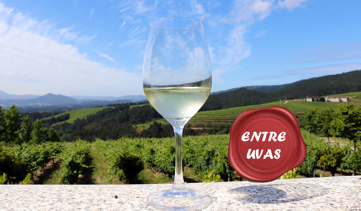 Juan Gil (D.O. Rías Baixas): “Se ha vendido tanto que las bodegas están con problemas de existencias”