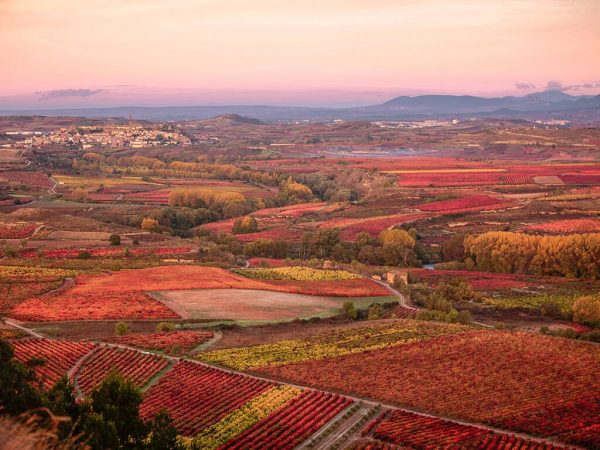 Los Viñedos de la Rioja en otoño