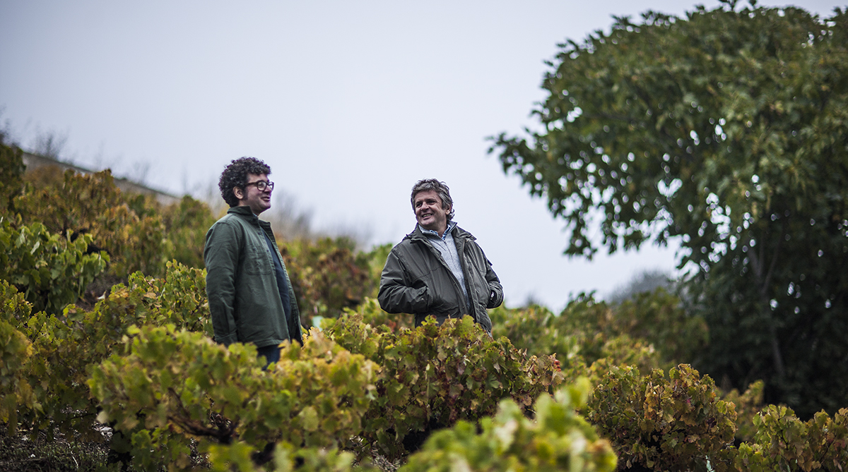 Descendientes de J. Palacios, primera bodega española en obtener el ‘emblema verde’ de la Guía Parker