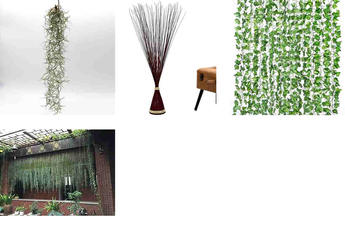 Amazon: 10 plantas muy exóticas para decorar tu hogar al estilo urban jungle