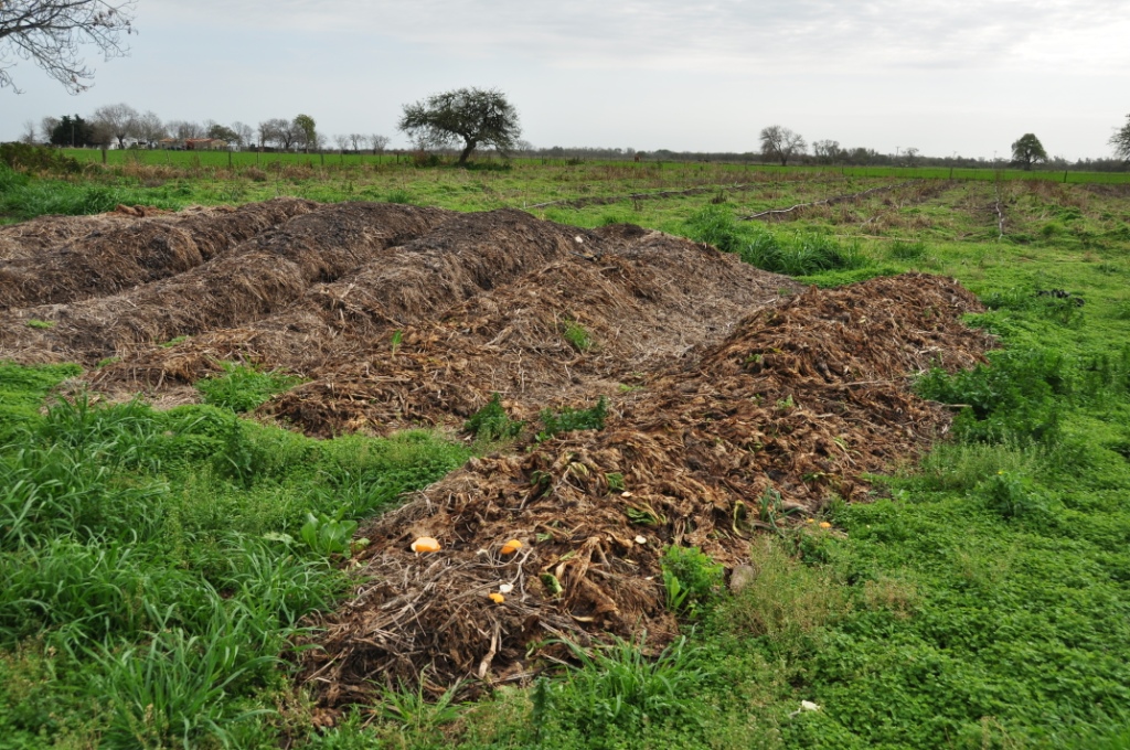 compost, abono