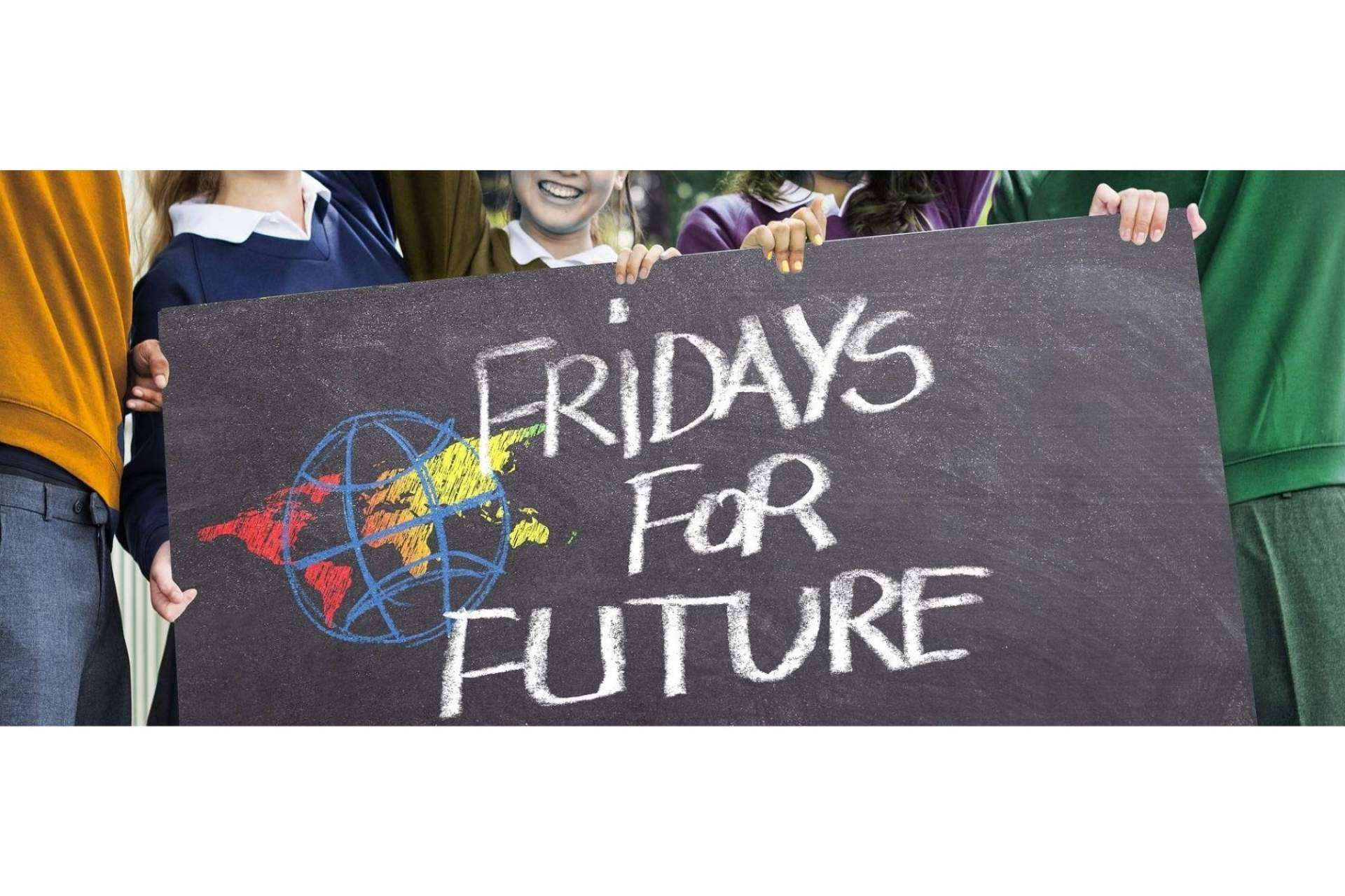 Ecoescuela, un proyecto que impulsa la implicación de los centros escolares en la lucha contra el cambio climático