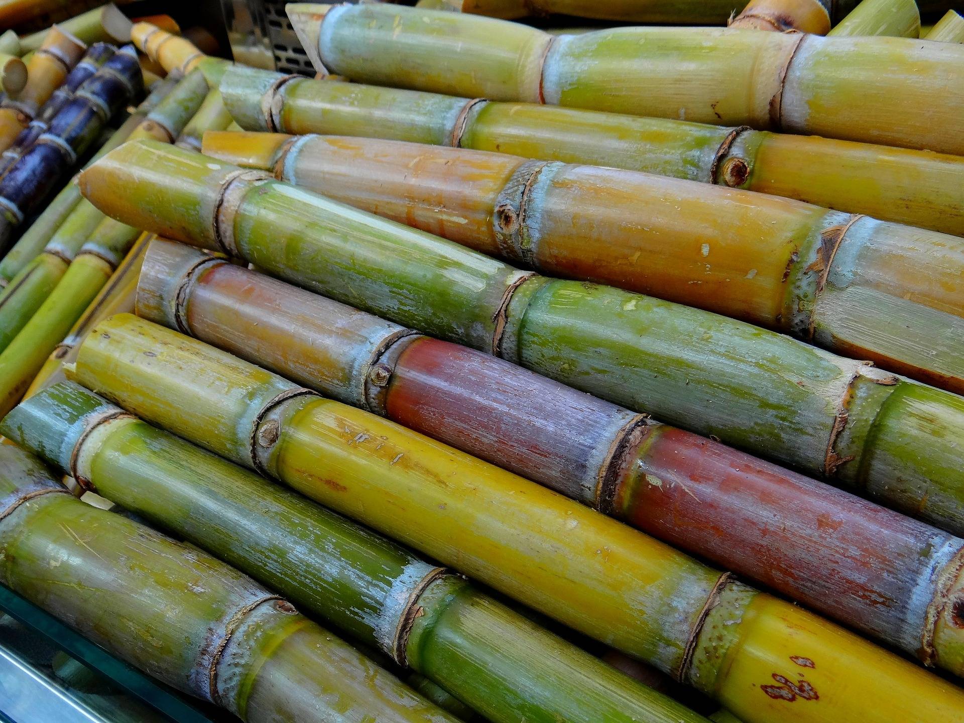 La revolución del packaging sostenible que fomenta el respeto hacia el medioambiente lleva el nombre de CAÑAPACK