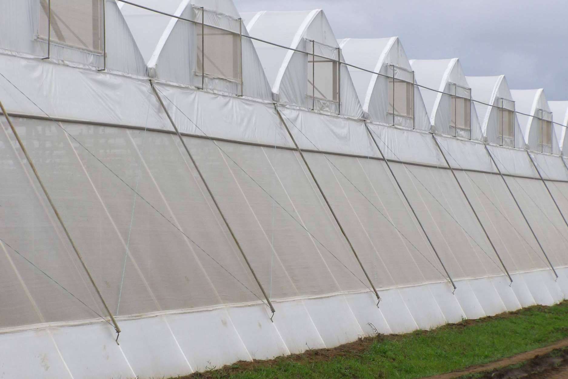 ¿Qué es AGRICOVER?, el nuevo paquete tecnológico de AGRALIA