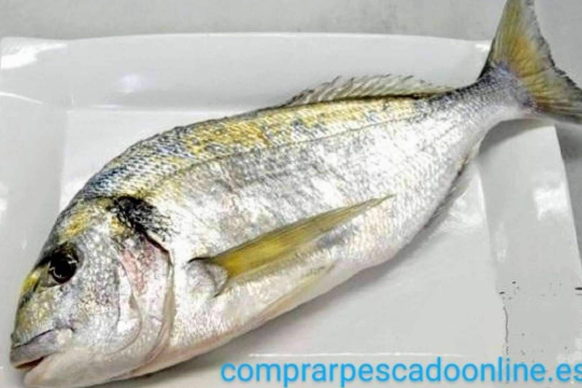 El pescado blanco y el pescado azul de Comprarpescadoonline son la base de una dieta equilibrada
