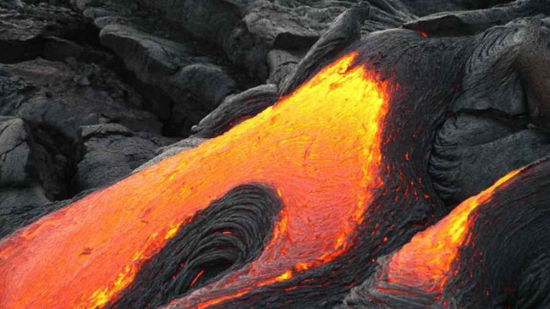 ayudas negocios la palma