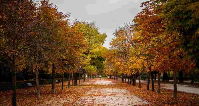 Parques bonitos Madrid otoño