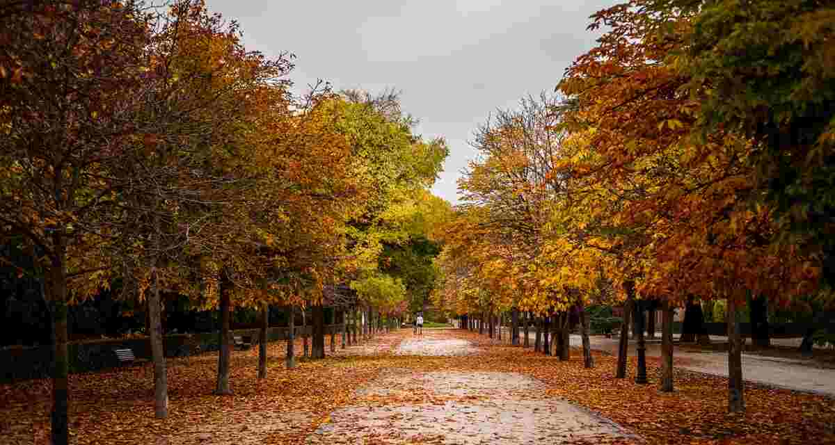 Parques bonitos de Madrid que sacan todo su esplendor en otoño