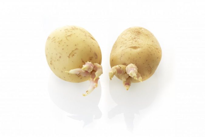 patatas germinadas Merca2.es