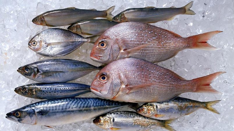 pescados Merca2.es