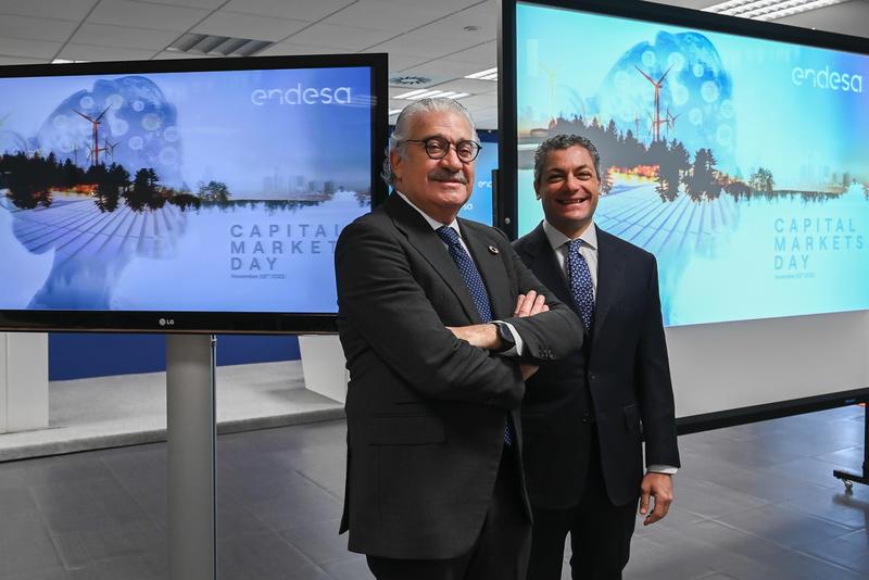 Endesa no descarta adquisiciones para seguir creciendo en renovables, redes y clientes