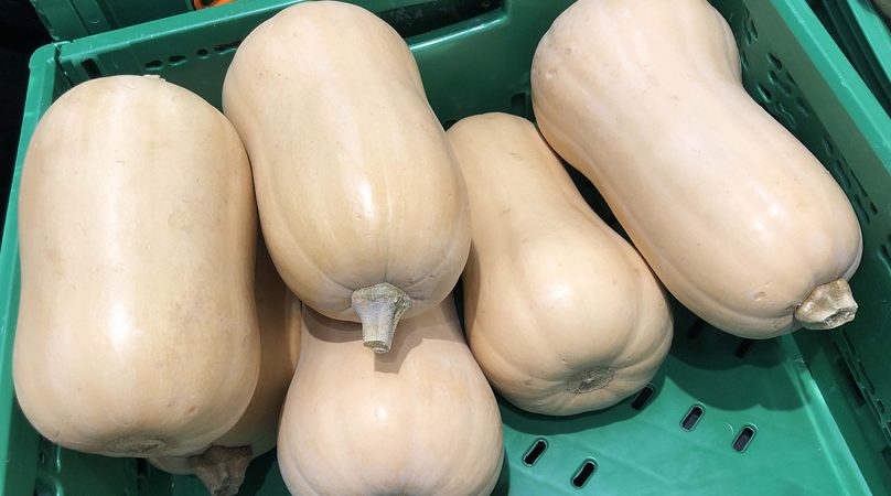 Calabaza Cacahuete de origen Espana en el lineal de Mercadona Merca2.es