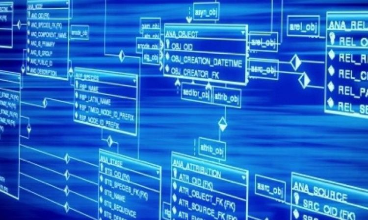 La importancia del cruce de datos