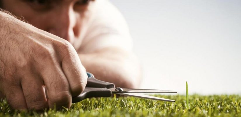 No ser demasiado perfeccionista para lograr que un negocio despegue