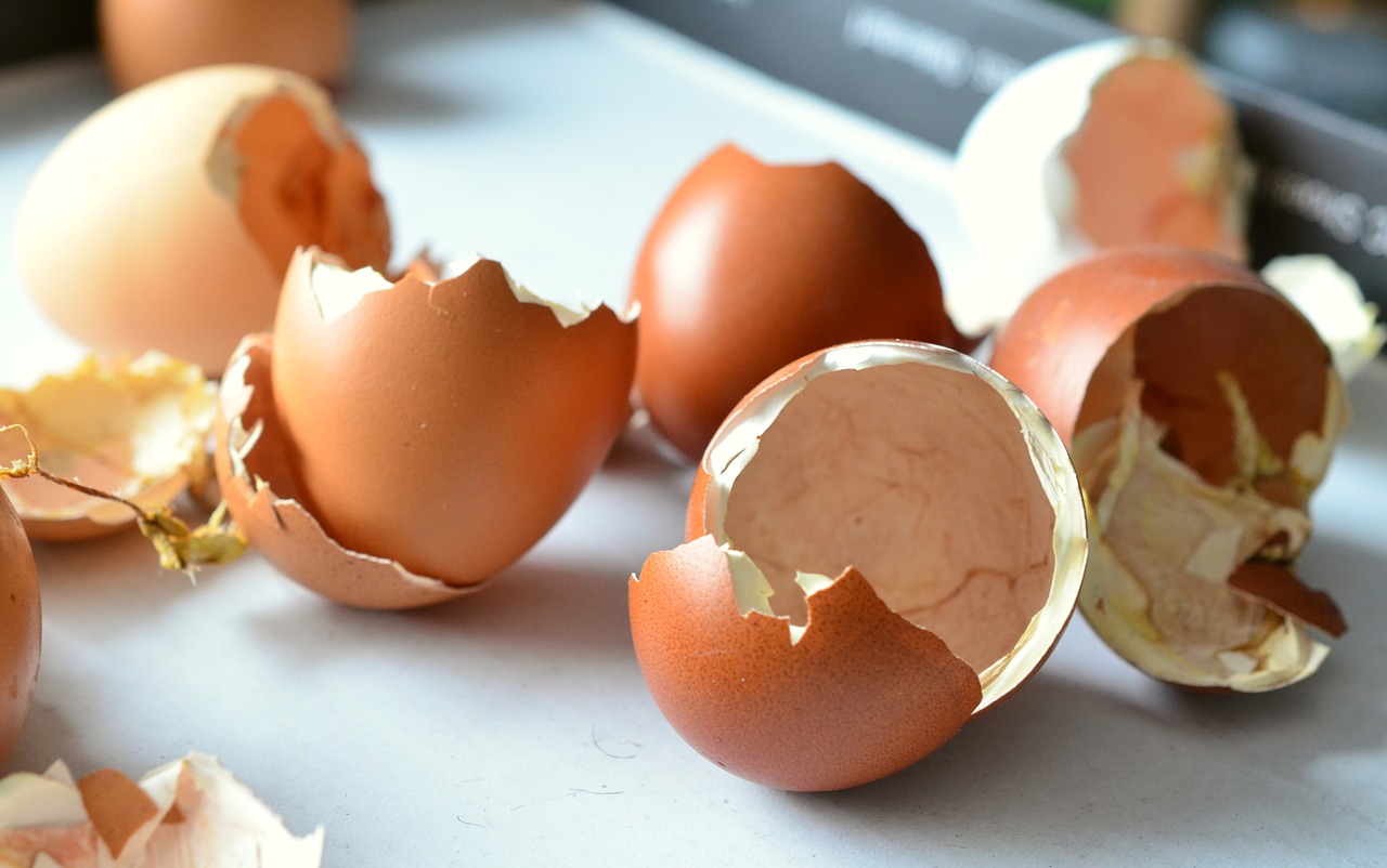Estos son los usos que le puedes dar a la cáscara de los huevos