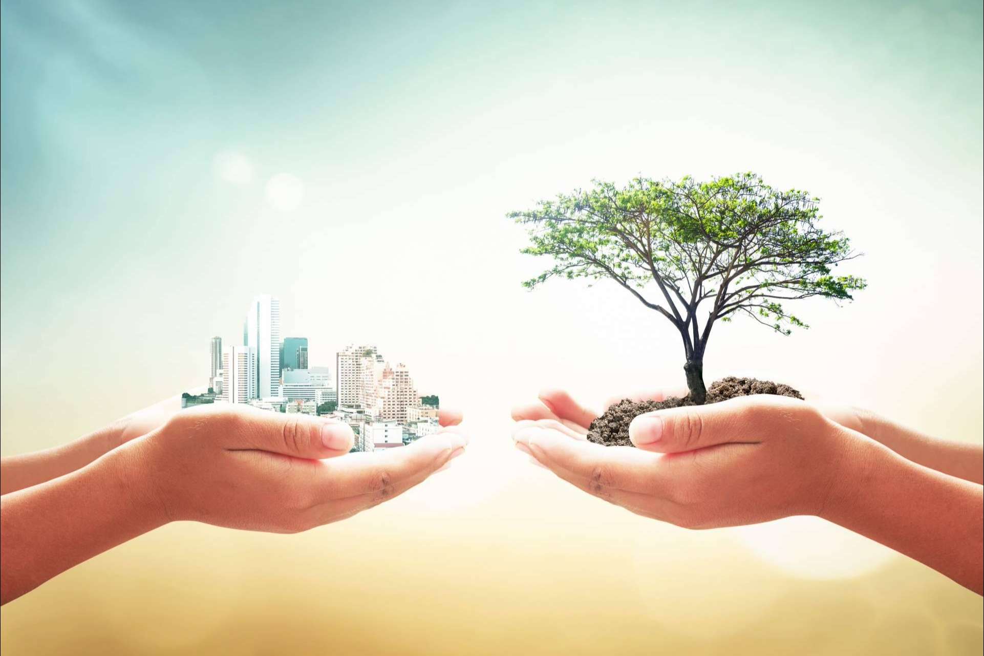 Ipostar y la responsabilidad ambiental empresarial