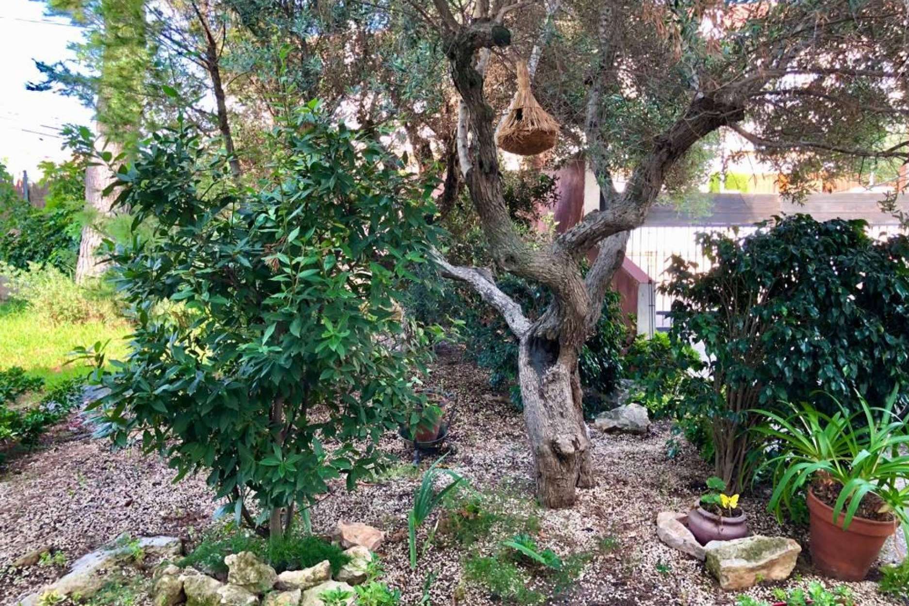 Mansión en entorno de playa y jardín con una piscina particular