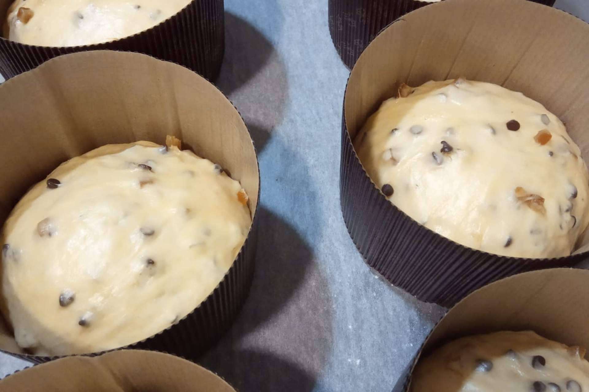 El panettone artesanal en Alicante, calidad y sabor único