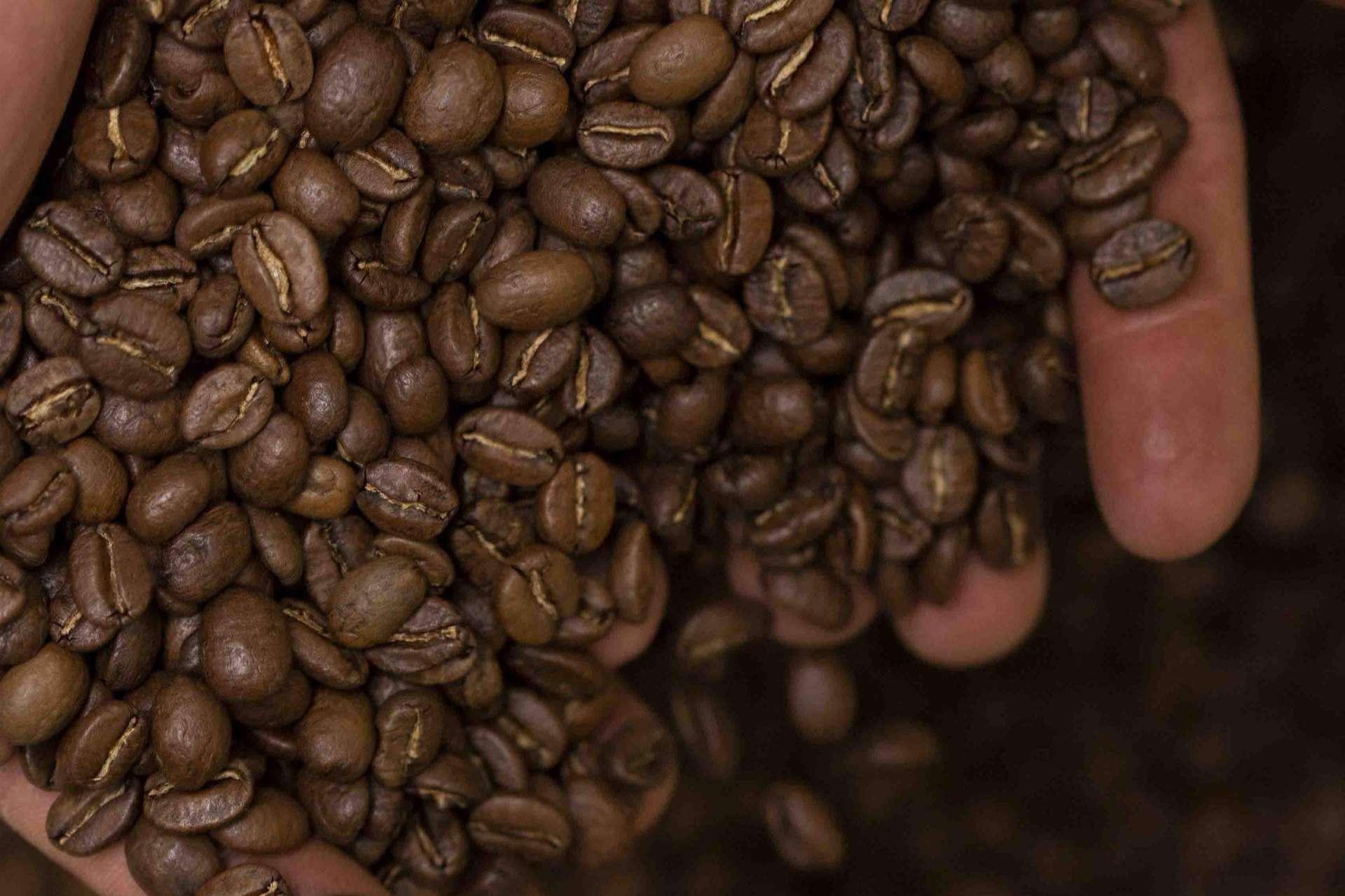 El café de especialidad, un tesoro al alcance de todo el mundo gracias a Syra Coffee