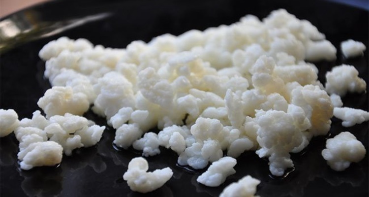 kefir candidiasis Merca2.es