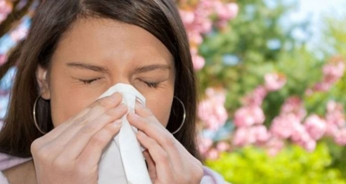 Trucos caseros para aliviar los efectos de la alergia esta primavera