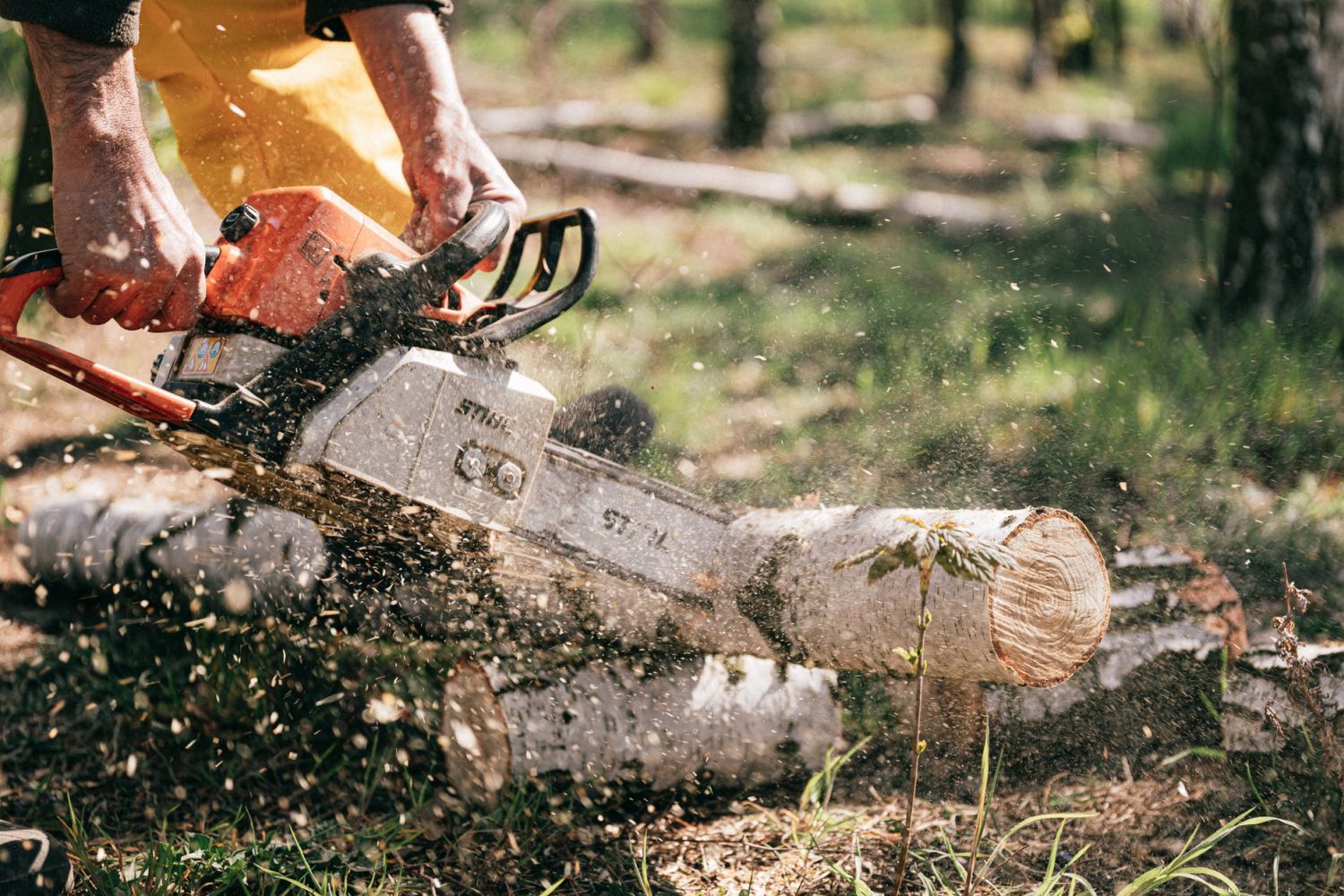 Maquinaria para jardines: esto es lo que necesitas