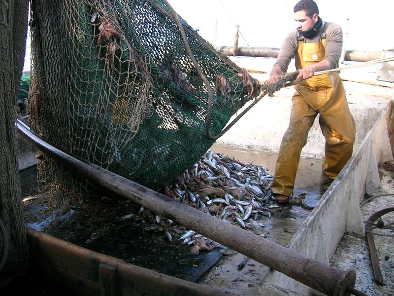El Parlamento ratifica el nuevo acuerdo de pesca entre España y Portugal, que entrará en vigor el 1 de enero
