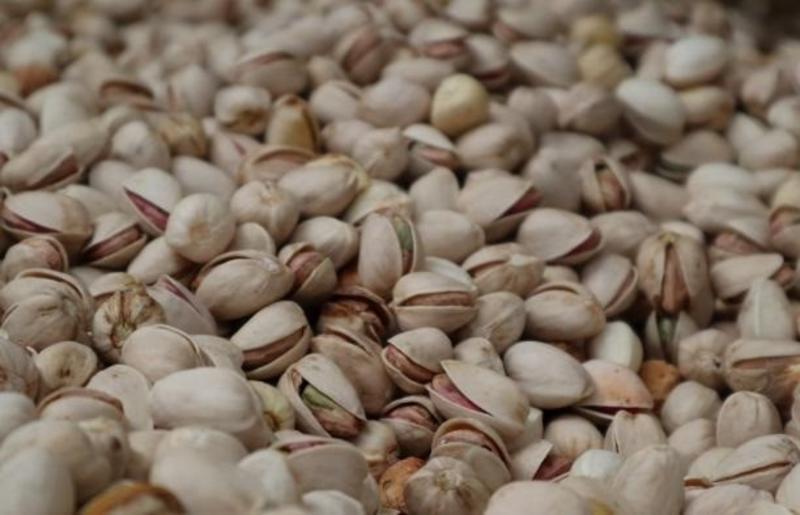 El cultivo de pistacho, el almendro y el nogal continúa su expansión productiva en España