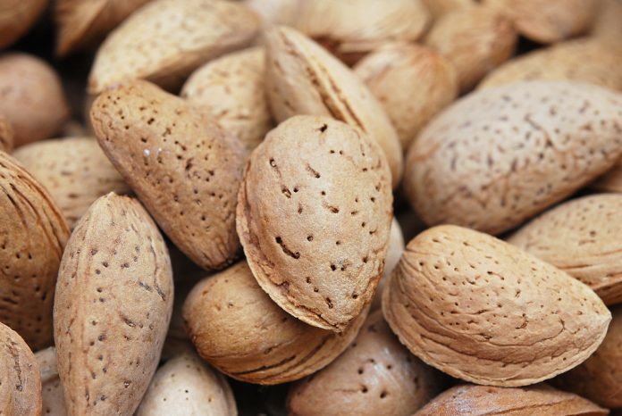 La Dana no da 'tregua' y daña el cultivo de almendra