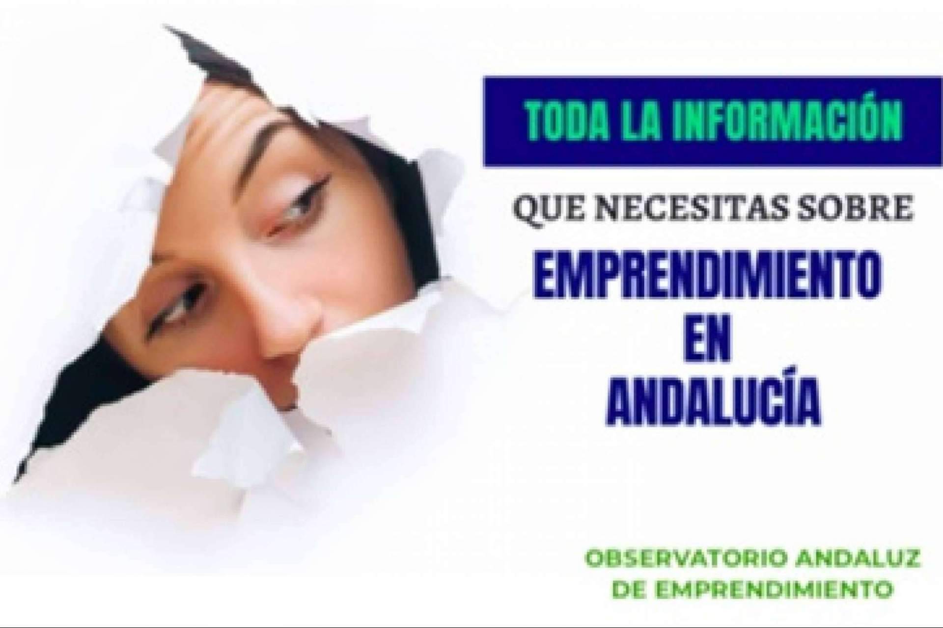 El observatorio andaluz del emprendimiento será digitalizado por QMA Consultores