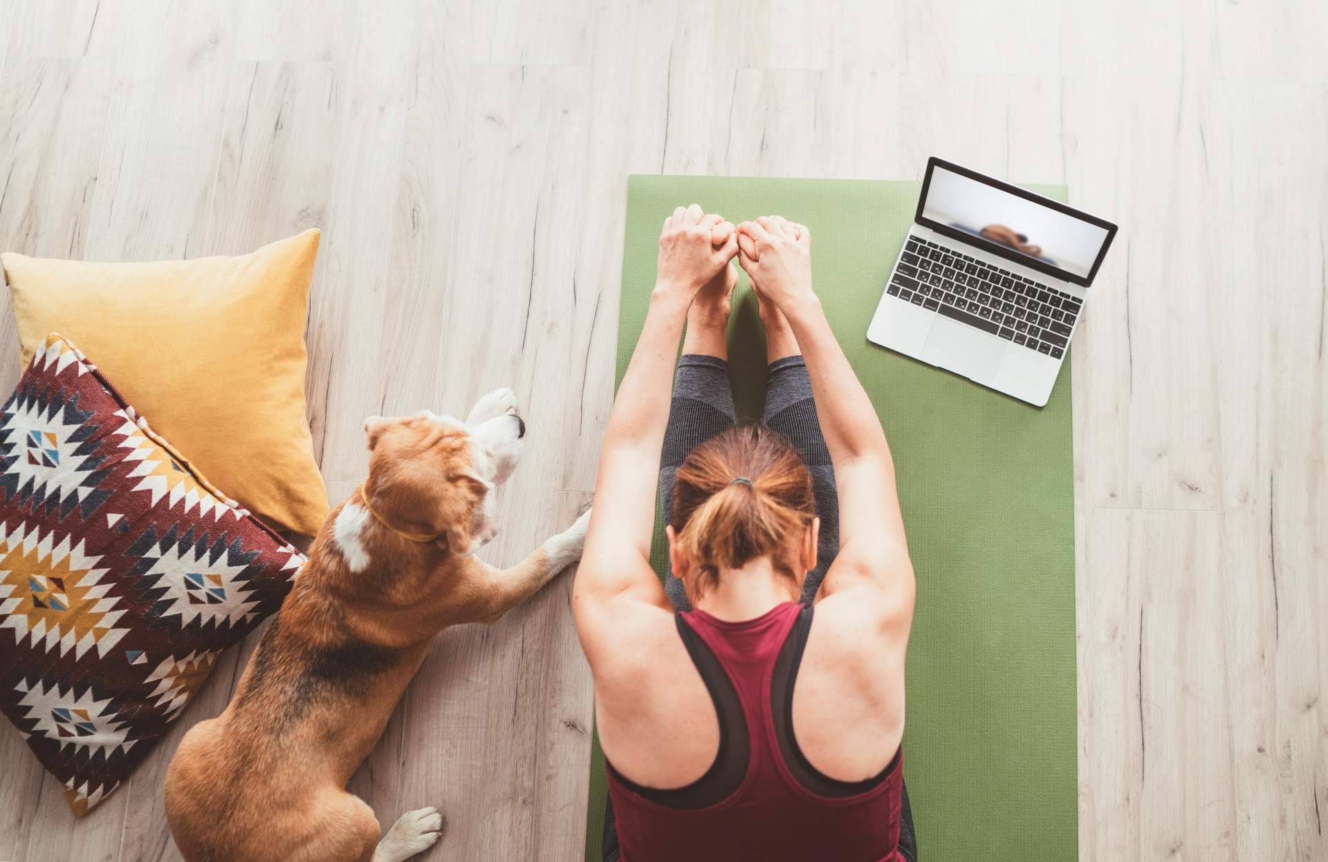 Curso online de profesor de yoga de la mano del Centro de Yoga Kavaalya