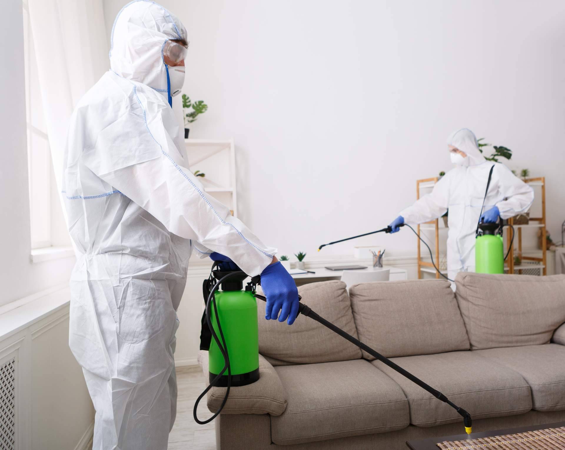 El impacto de la pandemia en las compañías de control y desinfección de plagas, por LEU Servicios