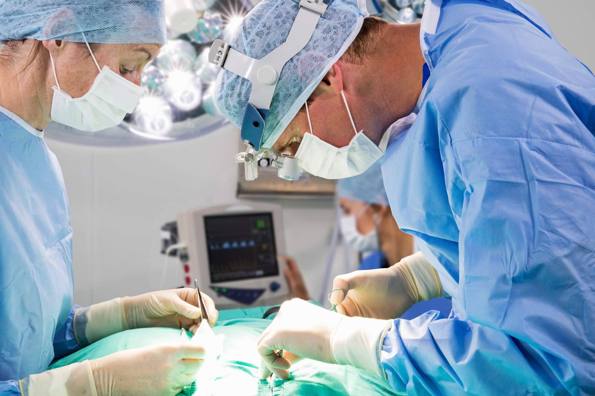 El seguro veterinario mejor valorado del mercado en Trustpilot