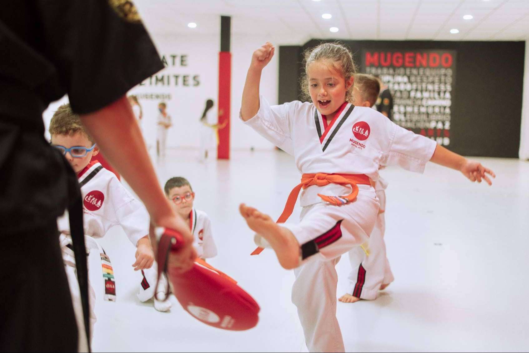 Una de las mejores opciones para la práctica de artes marciales, Opiniones Mugendo