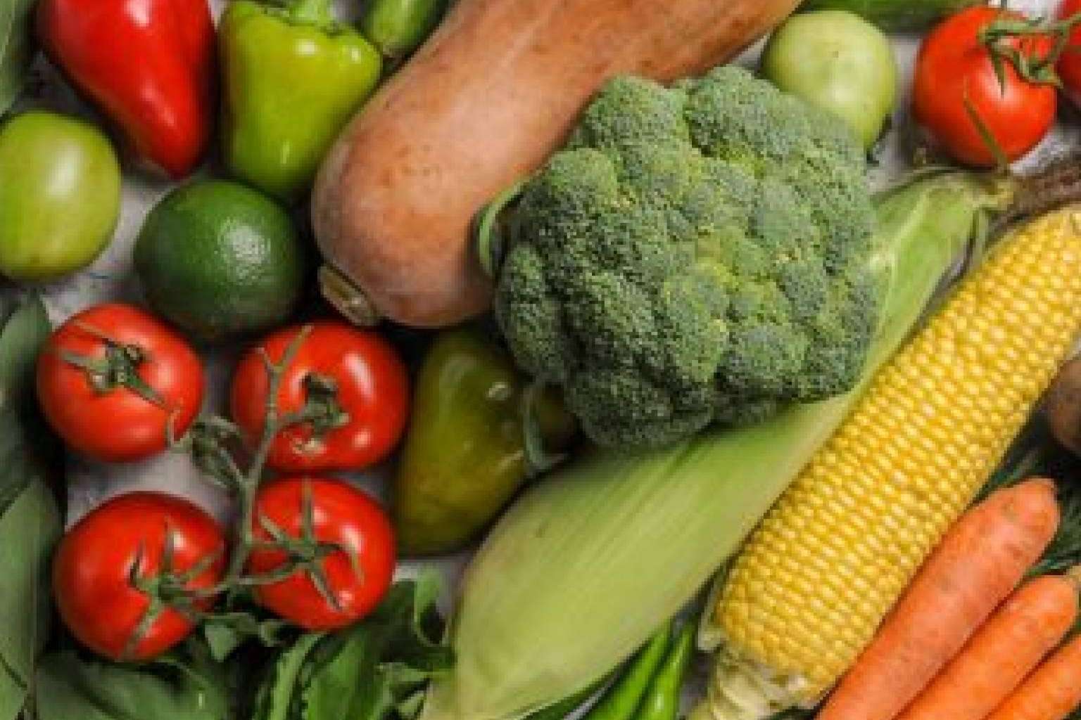 Los beneficios de los alimentos antioxidantes será la temática de la videoconferencia de la Dra. Paloma Pérez del Pozo